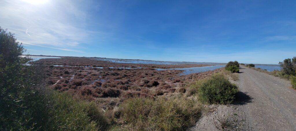 Direction le phare de la gacholle