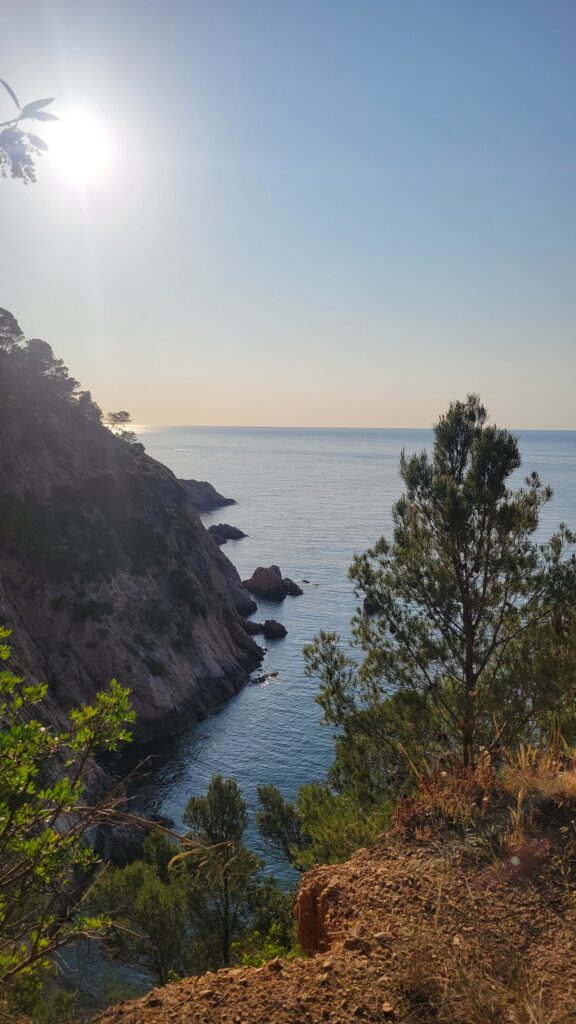 tossademar