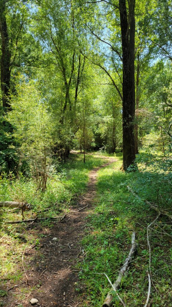 sentier du verdon