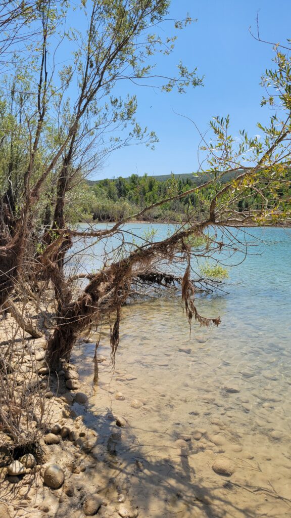 Petite sortie du côté des Salles-sur-Verdon